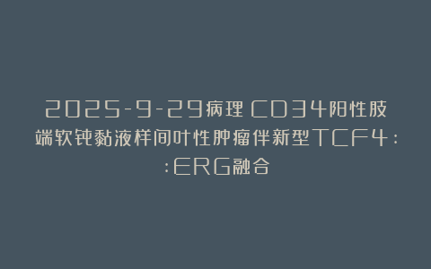 2025-9-29病理：CD34阳性肢端软骨黏液样间叶性肿瘤伴新型TCF4::ERG融合