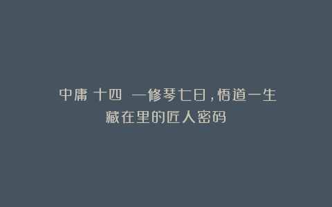 《中庸（十四）》—修琴七日，悟道一生：藏在里的匠人密码