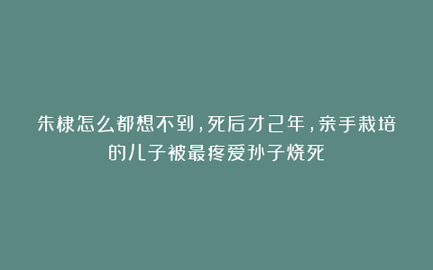 朱棣怎么都想不到，死后才2年，亲手栽培的儿子被最疼爱孙子烧死