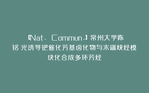 【Nat. Commun.】常州大学陈铭:光诱导钯催化芳基卤化物与末端炔烃模块化合成多环芳烃