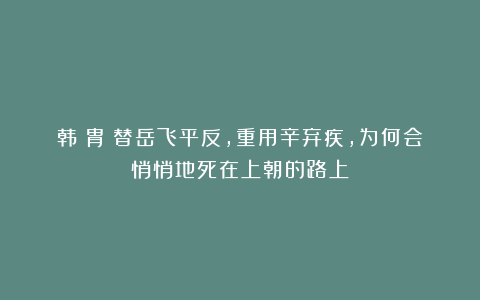 韩侂胄：替岳飞平反，重用辛弃疾，为何会悄悄地死在上朝的路上？