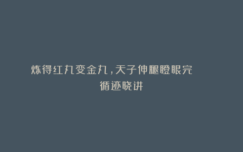 炼得红丸变金丸，天子伸腿瞪眼完～ | 循迹晓讲