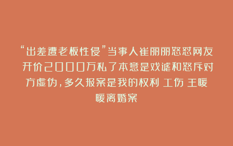 “出差遭老板性侵”当事人崔丽丽怒怼网友：开价2000万私了本意是戏谑和怒斥对方虚伪，多久报案是我的权利|工伤|王暖暖离婚案