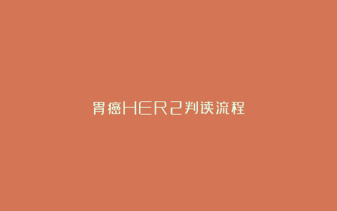 胃癌HER2判读流程