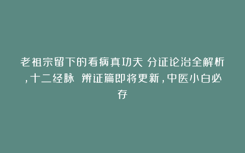 老祖宗留下的看病真功夫！分证论治全解析，十二经脉 辨证篇即将更新，中医小白必存！