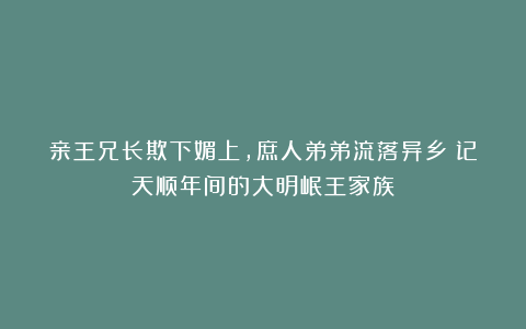 亲王兄长欺下媚上，庶人弟弟流落异乡：记天顺年间的大明岷王家族