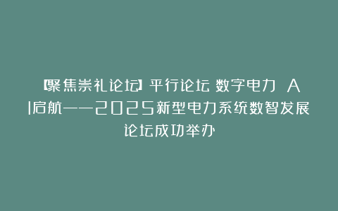 【聚焦崇礼论坛】平行论坛：数字电力 AI启航——2025新型电力系统数智发展论坛成功举办