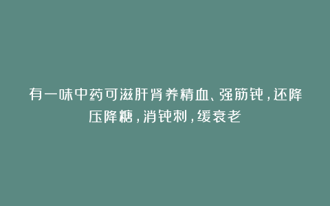 有一味中药可滋肝肾养精血、强筋骨，还降压降糖，消骨刺，缓衰老