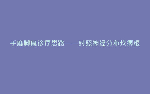 手麻脚麻诊疗思路——对照神经分布找病根！！！