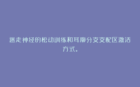 迷走神经的松动训练和耳廓分支支配区激活方式。
