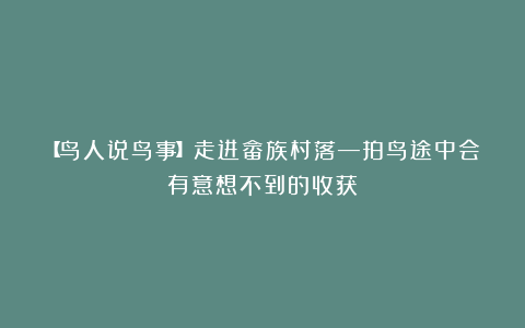【鸟人说鸟事】走进畲族村落—拍鸟途中会有意想不到的收获