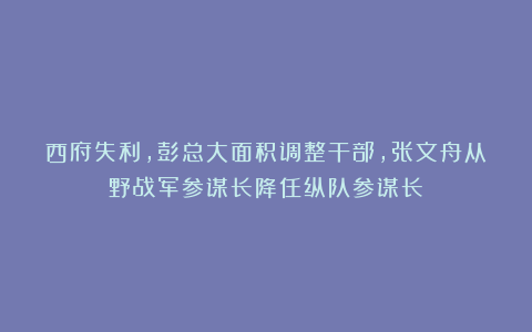 西府失利，彭总大面积调整干部，张文舟从野战军参谋长降任纵队参谋长