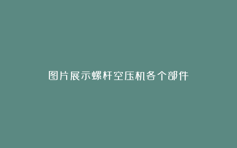 图片展示螺杆空压机各个部件