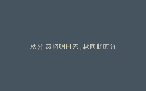 秋分丨燕将明日去，秋向此时分
