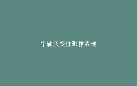 华勒氏变性影像表现
