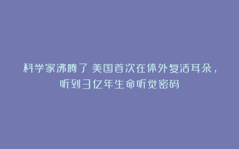 科学家沸腾了！美国首次在体外复活耳朵，听到3亿年生命听觉密码