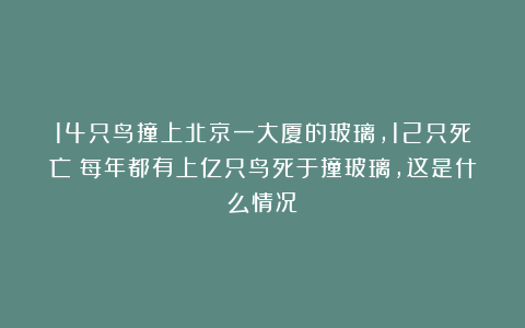 14只鸟撞上北京一大厦的玻璃，12只死亡！每年都有上亿只鸟死于撞玻璃，这是什么情况？