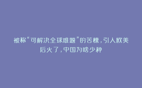 被称“可解决全球难题”的苦楝，引入欧美后火了，中国为啥少种？