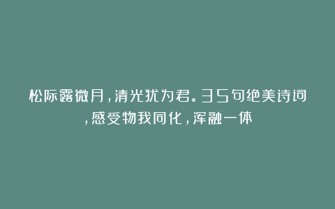松际露微月,清光犹为君。35句绝美诗词,感受物我同化,浑融一体