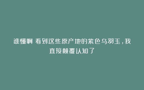 谁懂啊！看到这些原产地的紫色乌羽玉，我直接颠覆认知了！