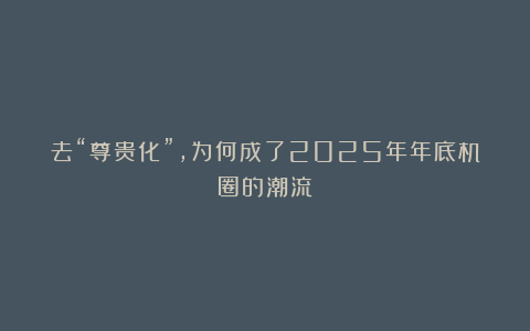 去“尊贵化”，为何成了2025年年底机圈的潮流