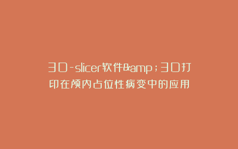3D-slicer软件&3D打印在颅内占位性病变中的应用