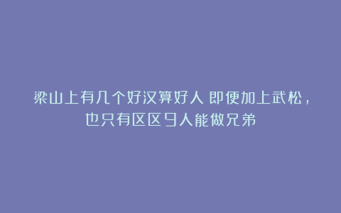梁山上有几个好汉算好人？即便加上武松，也只有区区9人能做兄弟
