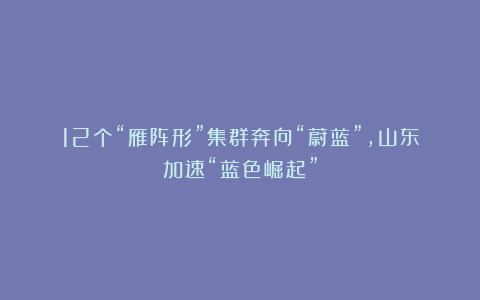 12个“雁阵形”集群奔向“蔚蓝”，山东加速“蓝色崛起”