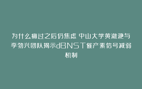 为什么痛过之后仍焦虑？中山大学黄潋滟与李勃兴团队揭示dBNST催产素信号减弱机制