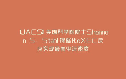 【JACS】美国科学院院士Shannon S. Stahl：镍催化eXEC反应实现最高电流密度