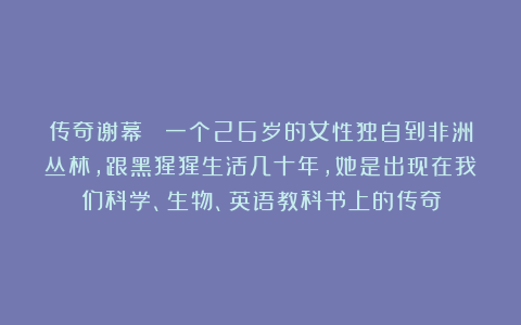 传奇谢幕！ 一个26岁的女性独自到非洲丛林，跟黑猩猩生活几十年，她是出现在我们科学、生物、英语教科书上的传奇