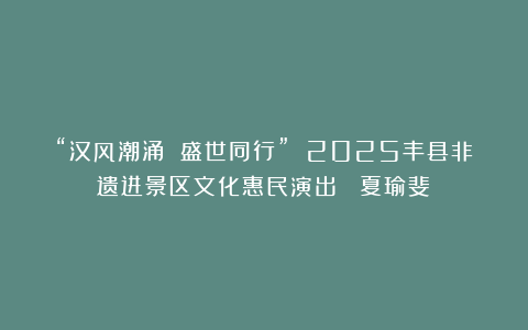 “汉风潮涌 盛世同行” 2025丰县非遗进景区文化惠民演出 （夏瑜斐）
