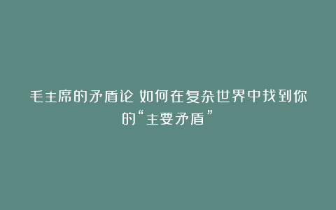 毛主席的矛盾论：如何在复杂世界中找到你的“主要矛盾”？