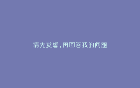 请先发誓，再回答我的问题