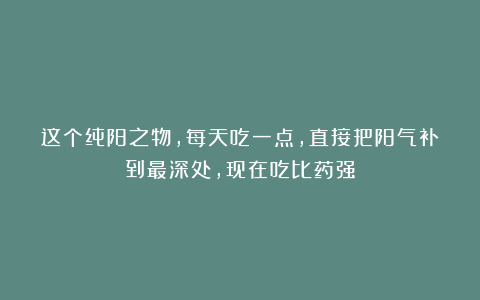 这个纯阳之物，每天吃一点，直接把阳气补到最深处，现在吃比药强