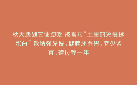 秋天遇到它使劲吃！被誉为“土里的免疫球蛋白”！散结强免疫，健脾还养胃，老少皆宜，错过等一年