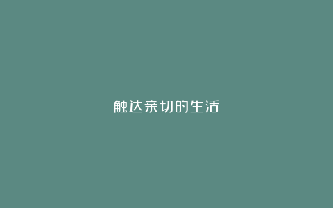 触达亲切的生活