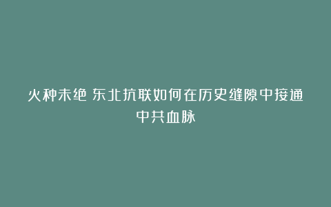 火种未绝：东北抗联如何在历史缝隙中接通中共血脉！