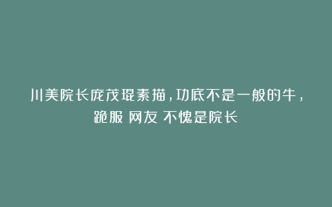 川美院长庞茂琨素描，功底不是一般的牛，跪服！网友：不愧是院长！