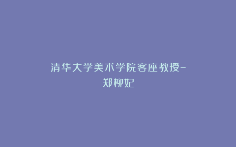 清华大学美术学院客座教授–郑柳妃