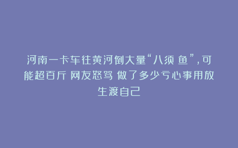 河南一卡车往黄河倒大量“八须鲶鱼”，可能超百斤！网友怒骂：做了多少亏心事用放生渡自己？