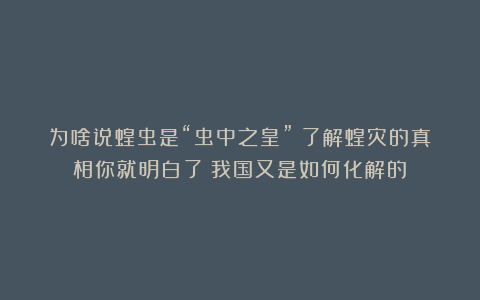 为啥说蝗虫是“虫中之皇”？了解蝗灾的真相你就明白了！我国又是如何化解的？
