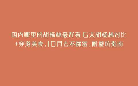 国内哪里的胡杨林最好看？6大胡杨林对比+穿搭美食，10月去不踩雷，附避坑指南！