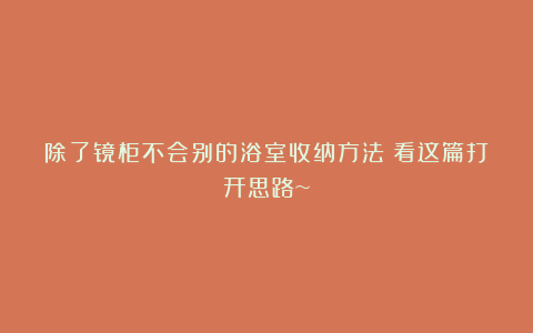 除了镜柜不会别的浴室收纳方法？看这篇打开思路~