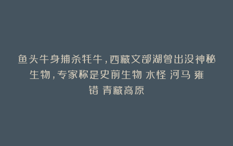 鱼头牛身捕杀牦牛，西藏文部湖曾出没神秘生物，专家称是史前生物|水怪|河马|雍错|青藏高原
