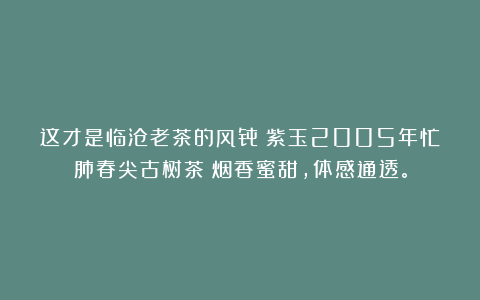 这才是临沧老茶的风骨！紫玉2005年忙肺春尖古树茶：烟香蜜甜，体感通透。