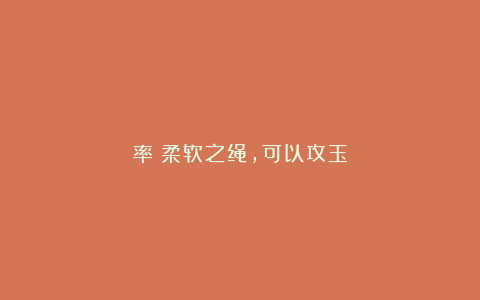 率：柔软之绳，可以攻玉