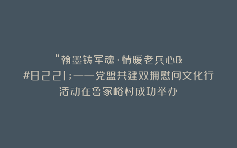 “翰墨铸军魂·情暖老兵心”——党盟共建双拥慰问文化行活动在鲁家峪村成功举办