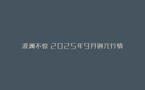 波澜不惊！2025年9月铜元行情