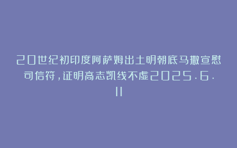 20世纪初印度阿萨姆出土明朝底马撒宣慰司信符，证明高志凯线不虚2025.6.11